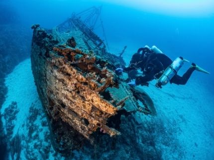 DNA Shows Ancient Ship Carried Olive Oil, Oregano