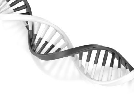 Black Death DNA Decoded